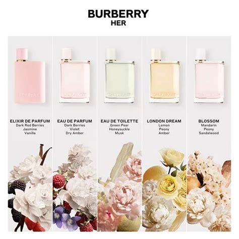 parfum burberry her fragrantica|More.